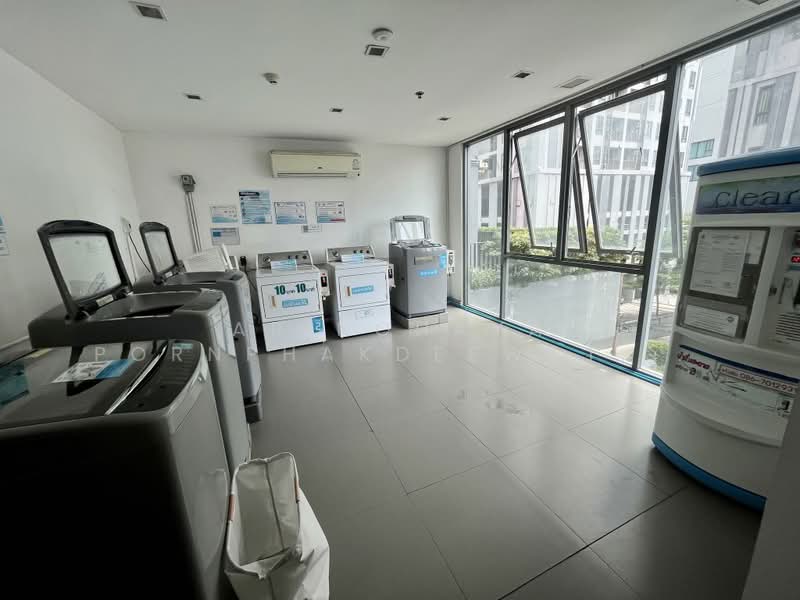 IDEO MOBI Sukhumvit 81, Bangkok, 2097 Sukhumvit Road, Bang Chak, Phra Khanong, Bangkok, 1 Bedroom, 31 sqm, Condo For Rent, by Arinchaya Pornphakdeewattana, 500429227 - DDproperty.com