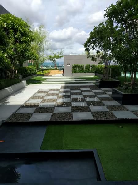 Rhythm Sukhumvit 36-38, Bangkok, 55 Soi Sukhumvit 36, Sukhumvit Road, Phra Kanong, Khlong Toei, Bangkok, 1 Bedroom, 33 sqm, Condo For Rent, by Natrinee Aphirachatanon, 500429273 - DDproperty.com