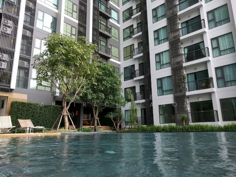 Rhythm Sukhumvit 36-38, Bangkok, 55 Soi Sukhumvit 36, Sukhumvit Road, Phra Kanong, Khlong Toei, Bangkok, 1 Bedroom, 33 sqm, Condo For Rent, by Natrinee Aphirachatanon, 500429273 - DDproperty.com