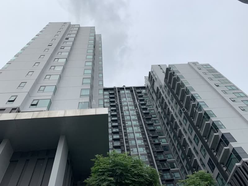 Rhythm Sukhumvit 36-38, Bangkok, 55 Soi Sukhumvit 36, Sukhumvit Road, Phra Kanong, Khlong Toei, Bangkok, 1 Bedroom, 33 sqm, Condo For Rent, by Natrinee Aphirachatanon, 500429273 - DDproperty.com