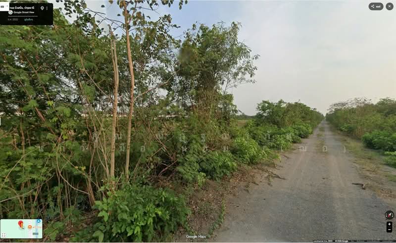 ที่ดินเปล่า 400 ตร.ว. ที่ดิน ใกล้อีซูซุนครหลวง ธัญบุรี, ปทุมธานี, ถนนรังสิต-นครนายก, บึงสนั่น, ธัญบุรี, ปทุมธานี, 1,600 ตร.ม., ที่ดิน ขาย, โดย คุณ ณัฏฐฌาภัส แก้วเมืองน้อย (เฌอ), 500429284 - DDproperty.com
