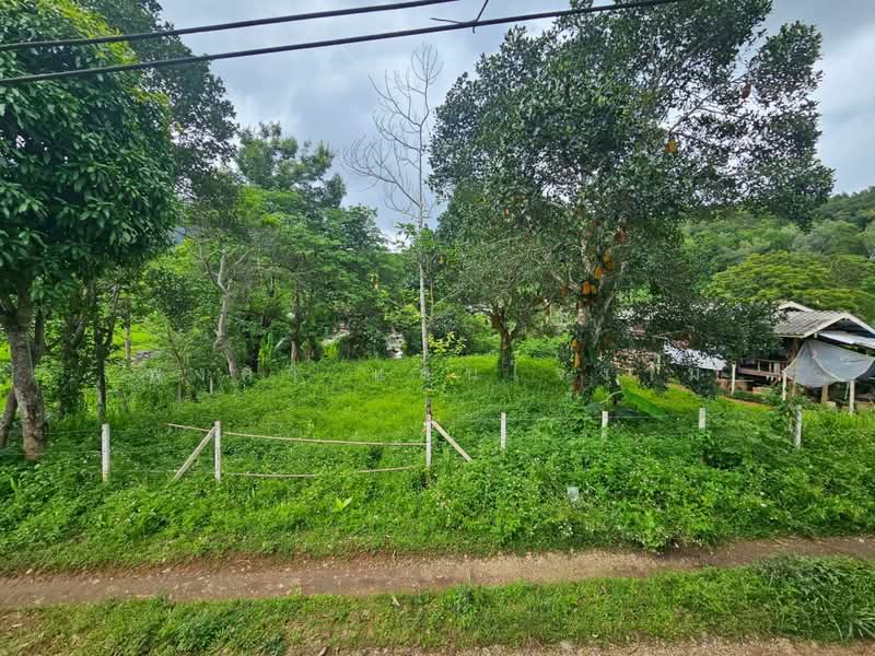 ขายที่ดินวิวภูเขา 191 ตร.ว. โป่งแยง แม่ริม เชียงใหม่ ใกล้ม่อนแจ่ม, Chiang Mai, Pong Yaeng, Mae Rim, Chiang Mai, , 764 sqm, Land For Sale, by พงศา แสนใจงาม, 500429307 - DDproperty.com