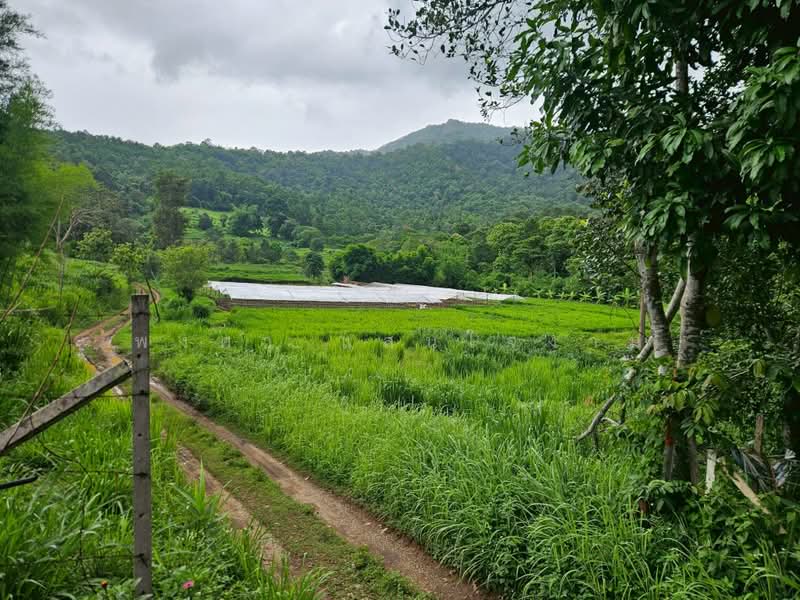 ขายที่ดินวิวภูเขา 191 ตร.ว. โป่งแยง แม่ริม เชียงใหม่ ใกล้ม่อนแจ่ม, Chiang Mai, Pong Yaeng, Mae Rim, Chiang Mai, , 764 sqm, Land For Sale, by พงศา แสนใจงาม, 500429307 - DDproperty.com