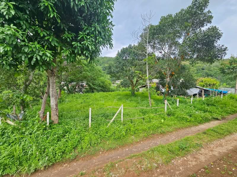 ขายที่ดินวิวภูเขา 191 ตร.ว. โป่งแยง แม่ริม เชียงใหม่ ใกล้ม่อนแจ่ม, Chiang Mai, Pong Yaeng, Mae Rim, Chiang Mai, , 764 sqm, Land For Sale, by พงศา แสนใจงาม, 500429307 - DDproperty.com