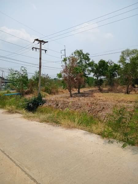 ที่ดินลาดยาว นครสวรรค์, Nakhon Sawan, Noen Khi Lek, Lat Yao, Nakhon Sawan, , 64,880 sqm, Land For Sale, by The Best Property พิมพ์, 500429348 - DDproperty.com