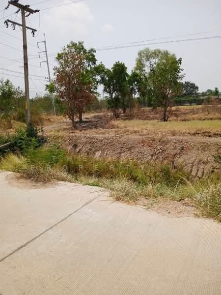 ที่ดินลาดยาว นครสวรรค์, Nakhon Sawan, Noen Khi Lek, Lat Yao, Nakhon Sawan, , 64,880 sqm, Land For Sale, by The Best Property พิมพ์, 500429348 - DDproperty.com