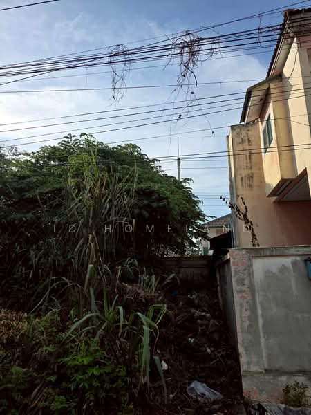 ขายบ้านเดี่ยว 2 ชั้น หมู่บ้านครีเอทีฟ ลิฟวิ่ง คลองสาม, Pathum Thani, Khlong Sam, Khlong Luang, Pathum Thani, 3 Bedrooms, 161 sqm, Single Detached House For Sale, by ID HOMELAND, 500429410 - DDproperty.com