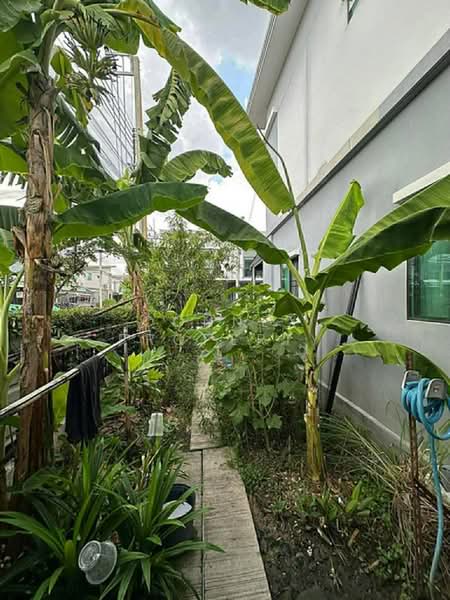 Pruksa Ville 85 Leabklong Taweewattana, Bangkok, Khlong Thawi Watthana Road, Bang Kae Nua, Bang Khae, Bangkok, 3 Bedrooms, 132 sqm, Townhouse For Sale, by Connex Property, 500429430 - DDproperty.com