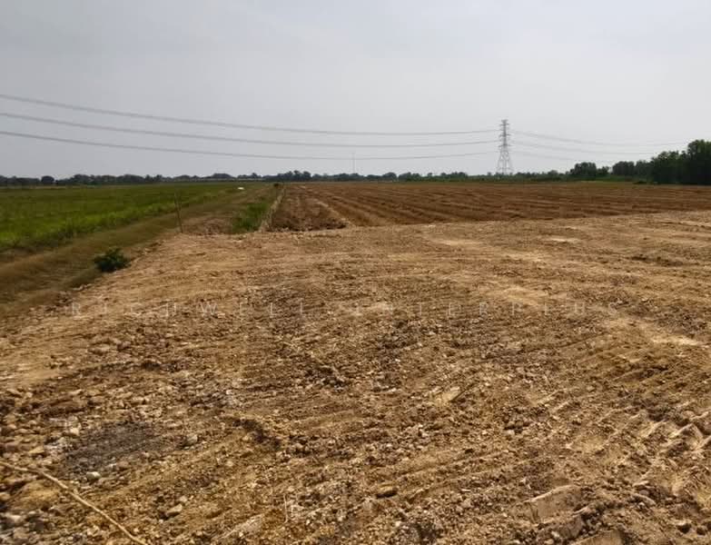 2 rai (approximately 0.8 acres) of leveled land for sale, located next to a paved road, Chachoengsao, Phrong A-kat, Bang Nam Prieo, Chachoengsao, , 3,200 sqm, Land For Sale, by RICHWELL INTERPLUS, 500429482 - DDproperty.com