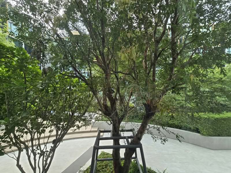 Atmoz Tropicana Bangna : แอทโมซ ทรอปิคาน่า บางนา, กรุงเทพ, 22 ถนนบางนา-ตราด, บางนา, กรุงเทพ, 24 ตร.ม., คอนโด ให้เช่า, โดย นัทยาพร พึ่มกุล (เบนซ์), 500429618 - DDproperty.com
