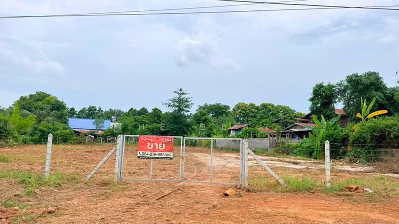 ที่ดินกระนวน ขอนแก่น, Khon Kaen, Huai Yang, Kranuan, Khon Kaen, , 1,584 sqm, Land For Sale, by The Best Property นก, 500429631 - DDproperty.com