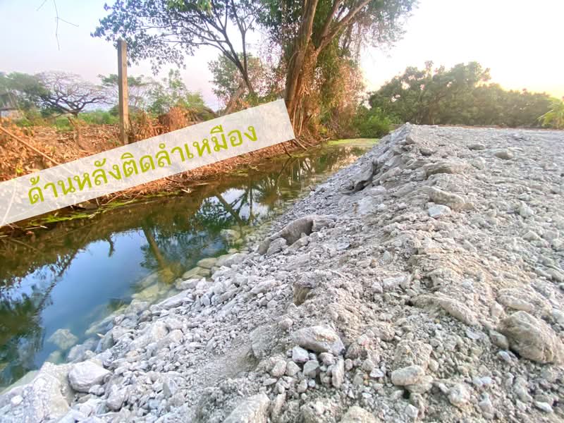 Land, 187 sq. wah (adjacent to Rural Road CM.5036), Chiang Mai, Ban Klang, San Pa Tong, Chiang Mai, , 748 sqm, Land For Sale, by นพเก้า ทุ่งขจี, 500429652 - DDproperty.com