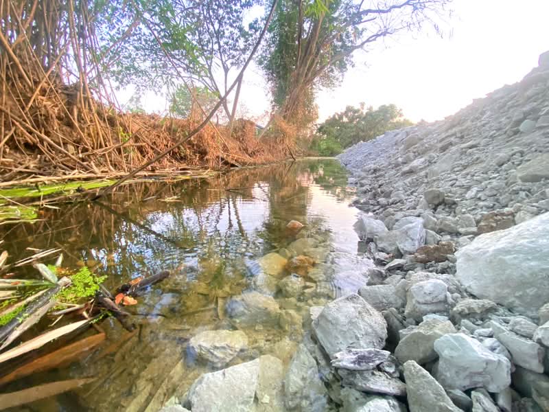 Land, 187 sq. wah (adjacent to Rural Road CM.5036), Chiang Mai, Ban Klang, San Pa Tong, Chiang Mai, , 748 sqm, Land For Sale, by นพเก้า ทุ่งขจี, 500429652 - DDproperty.com