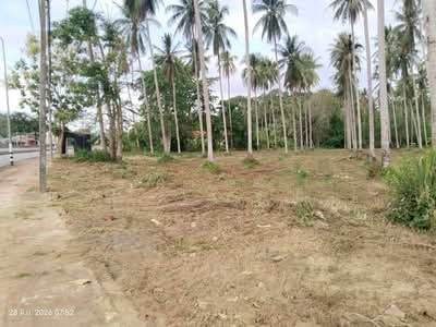 ขาย - ที่ดินบางสะพาน ประจวบคีรีขันธ์, ประจวบคีรีขันธ์