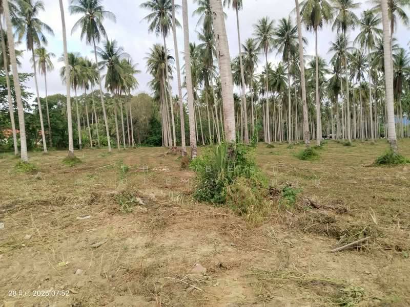 ที่ดินบางสะพาน ประจวบคีรีขันธ์, ประจวบคีรีขันธ์, ร่อนทอง, บางสะพาน, ประจวบคีรีขันธ์, 45,624 ตร.ม., ที่ดิน ขาย, โดย The Best Property ต่าย, 500429670 - DDproperty.com