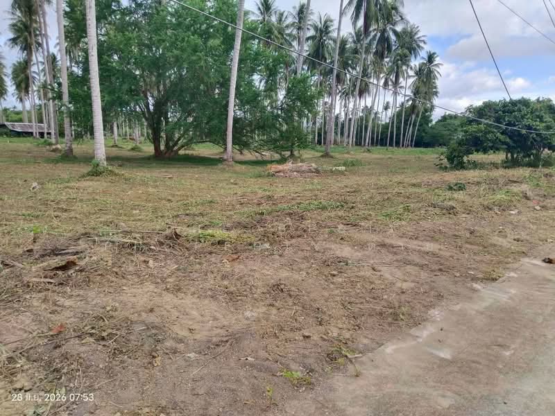 ที่ดินบางสะพาน ประจวบคีรีขันธ์, ประจวบคีรีขันธ์, ร่อนทอง, บางสะพาน, ประจวบคีรีขันธ์, 45,624 ตร.ม., ที่ดิน ขาย, โดย The Best Property ต่าย, 500429670 - DDproperty.com