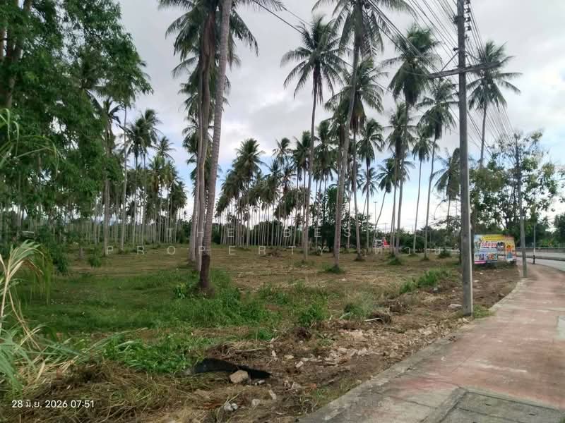ที่ดินบางสะพาน ประจวบคีรีขันธ์, ประจวบคีรีขันธ์, ร่อนทอง, บางสะพาน, ประจวบคีรีขันธ์, 45,624 ตร.ม., ที่ดิน ขาย, โดย The Best Property ต่าย, 500429670 - DDproperty.com