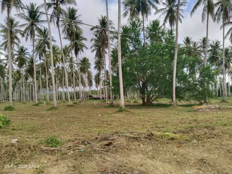 ที่ดินบางสะพาน ประจวบคีรีขันธ์, ประจวบคีรีขันธ์, ร่อนทอง, บางสะพาน, ประจวบคีรีขันธ์, 45,624 ตร.ม., ที่ดิน ขาย, โดย The Best Property ต่าย, 500429670 - DDproperty.com