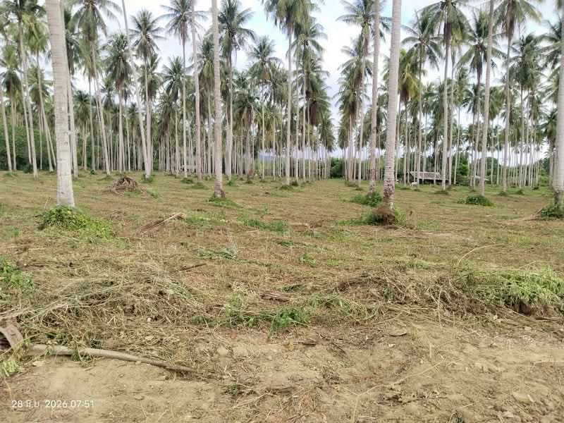 ที่ดินบางสะพาน ประจวบคีรีขันธ์, ประจวบคีรีขันธ์, ร่อนทอง, บางสะพาน, ประจวบคีรีขันธ์, 45,624 ตร.ม., ที่ดิน ขาย, โดย The Best Property ต่าย, 500429670 - DDproperty.com