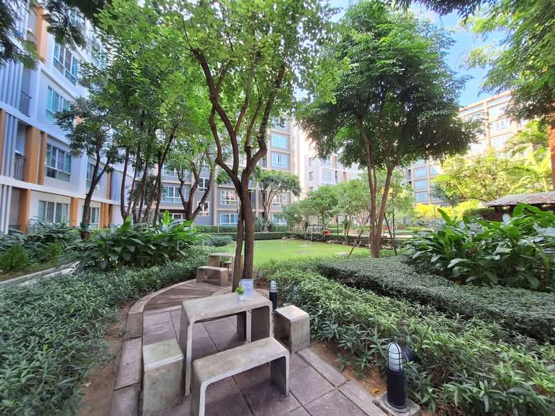 Dcondo Sign, Chiang Mai, Hwy Chiang Mai-Lampang Frontage Road, Fa Ham, Muang Chiang Mai, Chiang Mai, 1 Bedroom, 30 sqm, Condo For Sale, by Best Choice Property, 500429742 - DDproperty.com