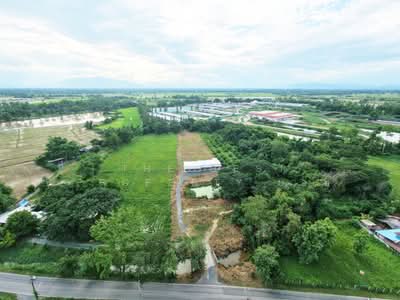 ขาย - ที่ดินพร้อมสิ่งปลูกสร้างสันกำแพง เชียงใหม่, เชียงใหม่