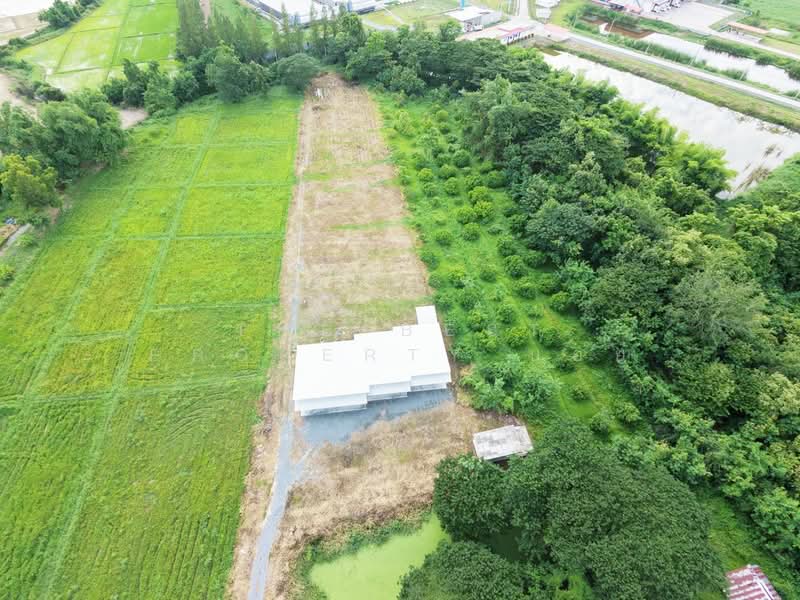 ที่ดินพร้อมสิ่งปลูกสร้างสันกำแพง เชียงใหม่, Chiang Mai, Huai Sai, San Kamphaeng, Chiang Mai, , 5,319 sqm, Land For Sale, by The Best Property บอย, 500429808 - DDproperty.com