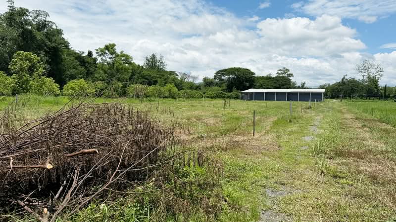 ที่ดินพร้อมสิ่งปลูกสร้างสันกำแพง เชียงใหม่, Chiang Mai, Huai Sai, San Kamphaeng, Chiang Mai, , 5,319 sqm, Land For Sale, by The Best Property บอย, 500429808 - DDproperty.com