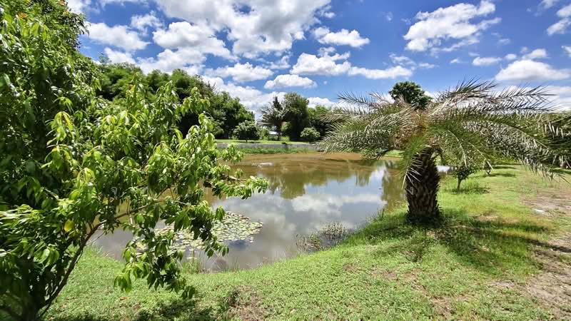 ขายที่ดินพร้อมสิ่งสร้าง ต.เขาชะงุ้ม อ.โพธาราม จ.ราชบุรี, Ratchaburi, Kao Cha Ngum, Photharam, Ratchaburi, , 9,597 sqm, Land For Sale, by จุฑามาส ศรีสง่า, 500429819 - DDproperty.com