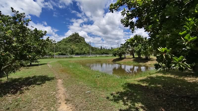 ขายที่ดินพร้อมสิ่งสร้าง ต.เขาชะงุ้ม อ.โพธาราม จ.ราชบุรี, Ratchaburi, Kao Cha Ngum, Photharam, Ratchaburi, , 9,597 sqm, Land For Sale, by จุฑามาส ศรีสง่า, 500429819 - DDproperty.com