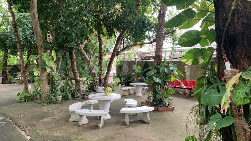 Office Rental EEC Zone Sriracha - Laem Chabang, Chon Buri (Pattaya), สุขุมวิท, Surasak, Si Racha, Chon Buri (Pattaya), , 35 sqm, Office Space For Rent, by Phamook Suvanwattanasuk, 500429855 - DDproperty.com