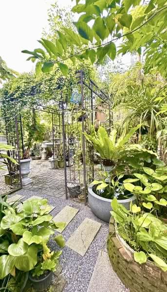 Mantana Srinakarin - Bangna, Samut Prakan, 159 Wat Nam Daeng Road, Bang Kaeo, Bang Plee, Samut Prakan, 4 Bedrooms, 203 sqm, Single Detached House For Sale, by HOME Real Estate Service, 500429932 - DDproperty.com