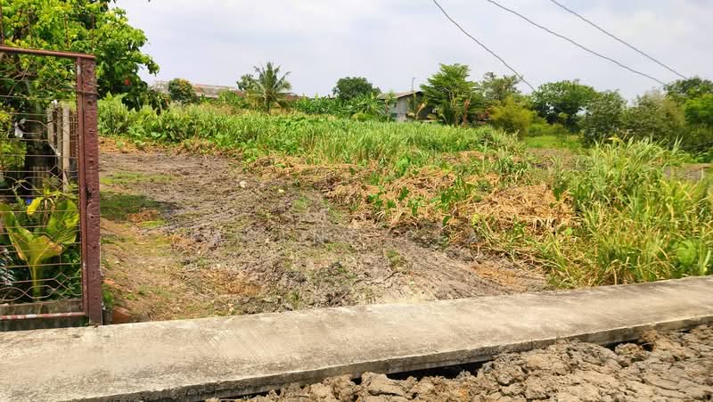 Urgent Sale! 50 Sq.Wah Vacant Land in Soi Nawamin 81, Bueng Kum (SPSAD4091), Bangkok, Khlong Chan, Bang Kapi, Bangkok, , 200 sqm, Land For Sale, by Agent Pla, 500429950 - DDproperty.com