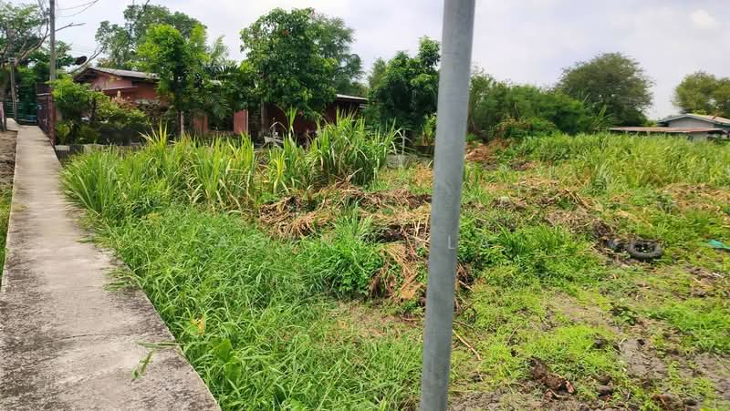 Urgent Sale! 50 Sq.Wah Vacant Land in Soi Nawamin 81, Bueng Kum (SPSAD4091), Bangkok, Khlong Chan, Bang Kapi, Bangkok, , 200 sqm, Land For Sale, by Agent Pla, 500429950 - DDproperty.com