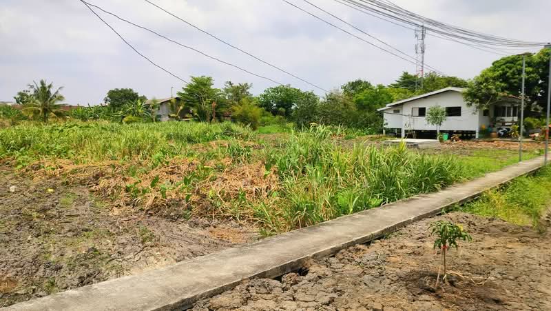 Urgent Sale! 50 Sq.Wah Vacant Land in Soi Nawamin 81, Bueng Kum (SPSAD4091), Bangkok, Khlong Chan, Bang Kapi, Bangkok, , 200 sqm, Land For Sale, by Agent Pla, 500429950 - DDproperty.com