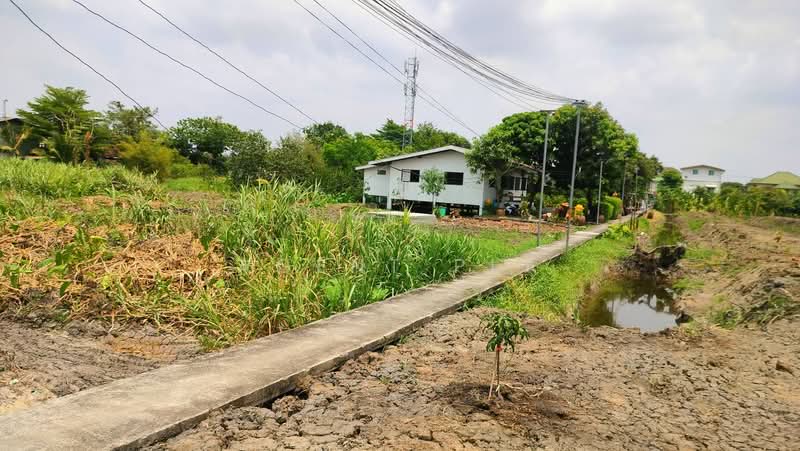 Urgent Sale! 50 Sq.Wah Vacant Land in Soi Nawamin 81, Bueng Kum (SPSAD4091), Bangkok, Khlong Chan, Bang Kapi, Bangkok, , 200 sqm, Land For Sale, by Agent Pla, 500429950 - DDproperty.com
