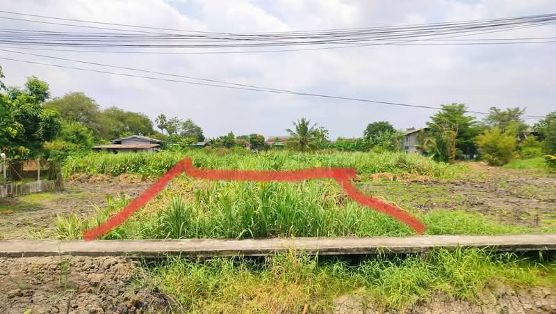 Urgent Sale! 50 Sq.Wah Vacant Land in Soi Nawamin 81, Bueng Kum (SPSAD4091), Bangkok, Khlong Chan, Bang Kapi, Bangkok, , 200 sqm, Land For Sale, by Agent Pla, 500429950 - DDproperty.com