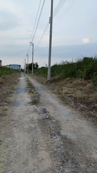 ที่ดินลาดกระบัง กรุงเทพมหานคร, Bangkok, Lam Pla Tiew, Lat Krabang, Bangkok, , 396 sqm, Land For Sale, by The Best Property อาท, 500430025 - DDproperty.com