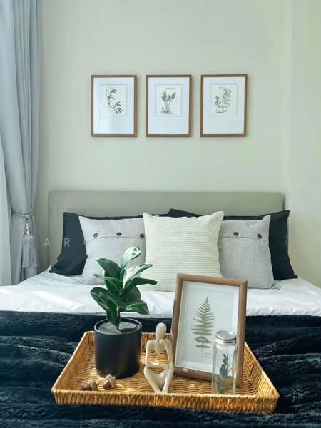 The Sky Sukhumvit, Bangkok, 103-4 Sukhumvit Road, Bang Na Nuea, Bang Na, Bangkok, 1 Bedroom, 31 sqm, Condo For Rent, by Komkrit Arunvessased, 500430084 - DDproperty.com