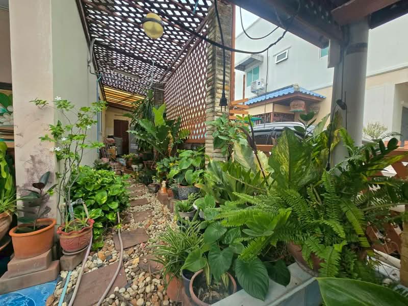 CHATLUANG 8, Pathum Thani, Sam Khok, Pathum Thani, 3 Bedrooms, 112 sqm, Townhouse For Sale, by ภัทรนัน อิศรางกูร ณ อยุธยา, 500430184 - DDproperty.com