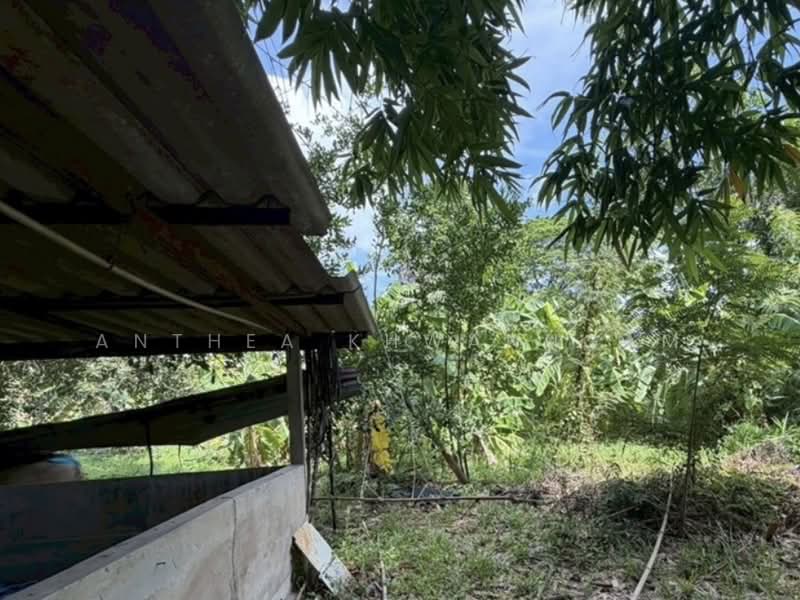 1-BR House, Bangkok, Si Khan, Don Mueang, Bangkok, 1 Bedroom, 47 sqm, Single Detached House For Sale, by Anthea Khwanngam, 500430210 - DDproperty.com