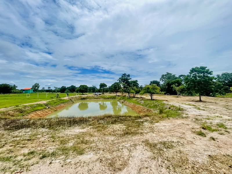 Land CHAI NAT - Hunkha, Chai Nat, Den Yai, Han Kha, Chai Nat, , 12,800 sqm, Land For Sale, by DIFFER ESTATE CO., LTD, 500430545 - DDproperty.com