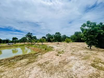 ขาย - ที่ดิน ชัยนาท หันคา, ชัยนาท