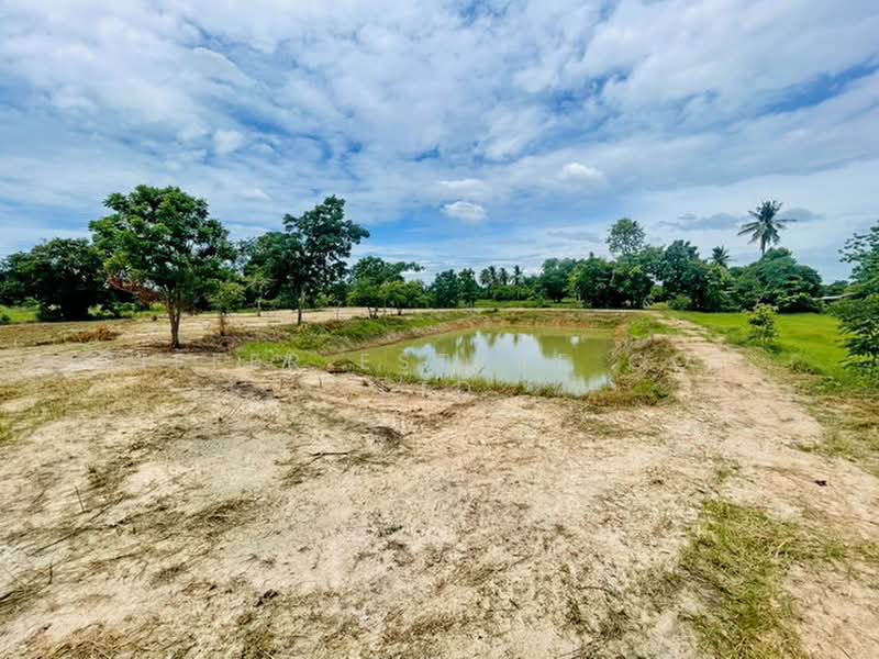 Land CHAI NAT - Hunkha, Chai Nat, Den Yai, Han Kha, Chai Nat, , 12,800 sqm, Land For Sale, by DIFFER ESTATE CO., LTD, 500430545 - DDproperty.com