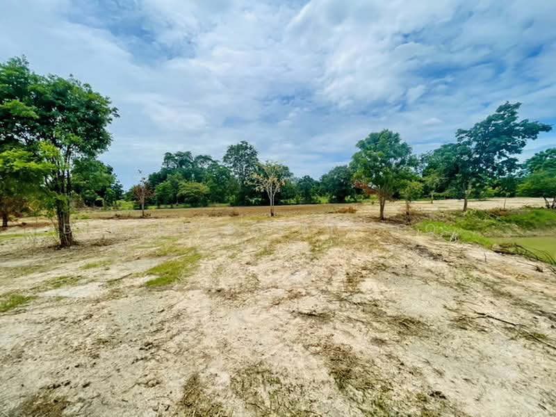 Land CHAI NAT - Hunkha, Chai Nat, Den Yai, Han Kha, Chai Nat, , 12,800 sqm, Land For Sale, by DIFFER ESTATE CO., LTD, 500430545 - DDproperty.com