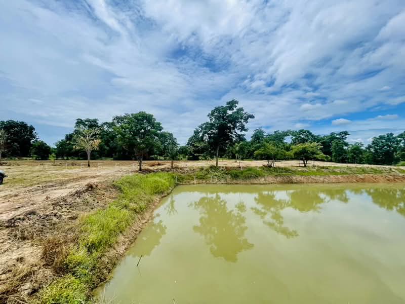 Land CHAI NAT - Hunkha, Chai Nat, Den Yai, Han Kha, Chai Nat, , 12,800 sqm, Land For Sale, by DIFFER ESTATE CO., LTD, 500430545 - DDproperty.com