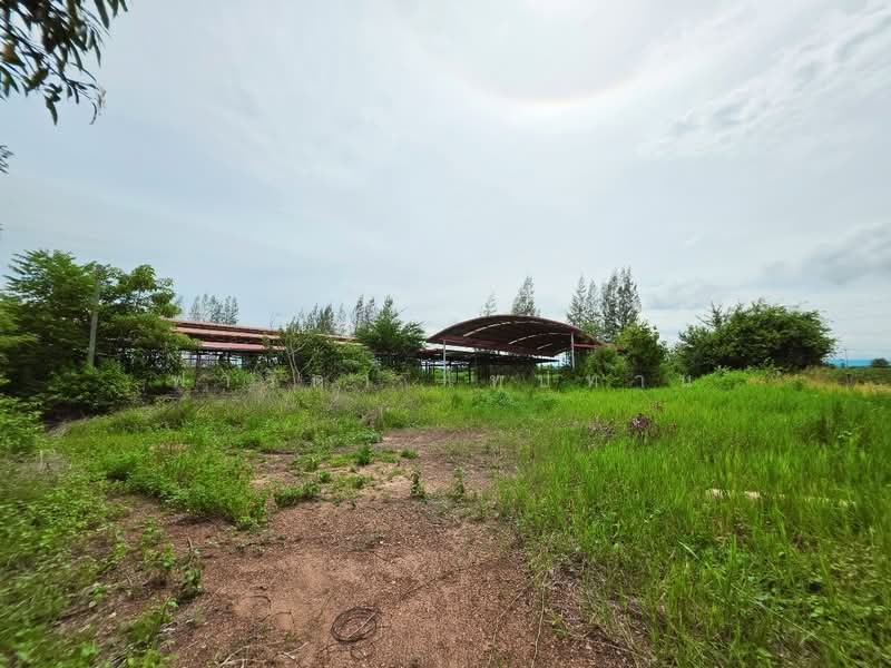 ขายที่ดินขอนแก่น 67 ไร่ แปลงใหญ่ ตําบลเขาสวนกวาง ติดถนนมิตรภาพ, ขอนแก่น, คำม่วง, เขาสวนกวาง, ขอนแก่น, 107,388 ตร.ม., ที่ดิน ขาย, โดย ฟารีดา ไทปทาน, 500430580 - DDproperty.com