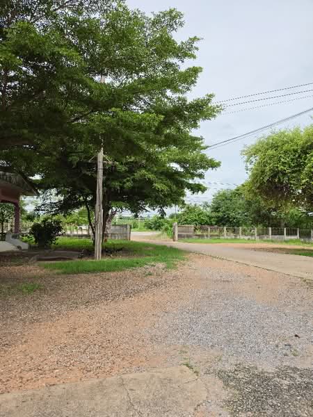 Large plot of land for sale in Khon Kaen, 67 rai, Khao Suan Kwang area, adjacent to Mittraphap Road, Khon Kaen, Kham Muang, Khao Suan Kwang, Khon Kaen, , 107,388 sqm, Land For Sale, by Fareeda Thaipatan, 500430580 - DDproperty.com