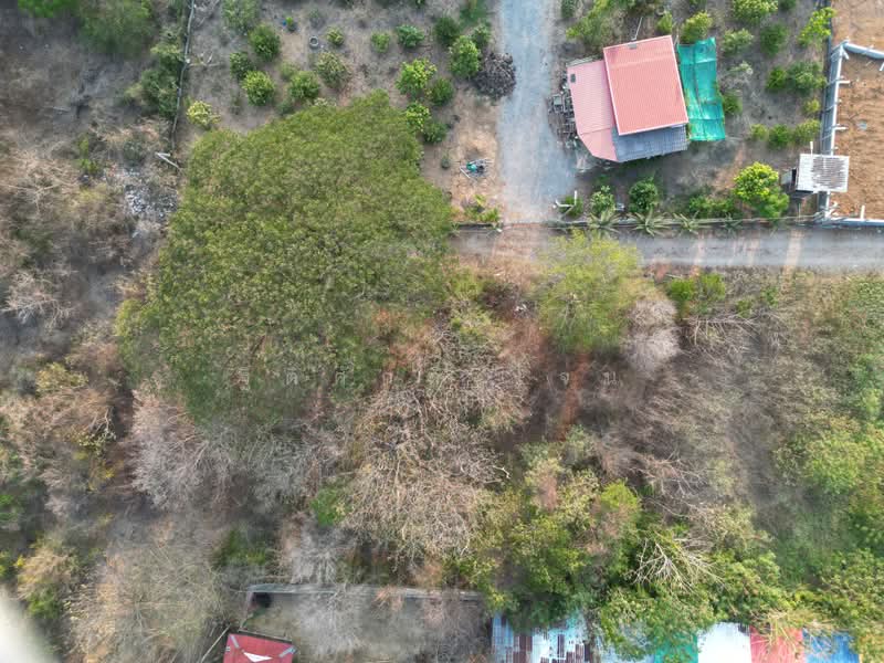 ไม่, สระบุรี, บางโขมด, บ้านหมอ, สระบุรี, 948 ตร.ม., ที่ดิน ขาย, โดย ฐิติศักดิ์ เจน, 500430674 - DDproperty.com