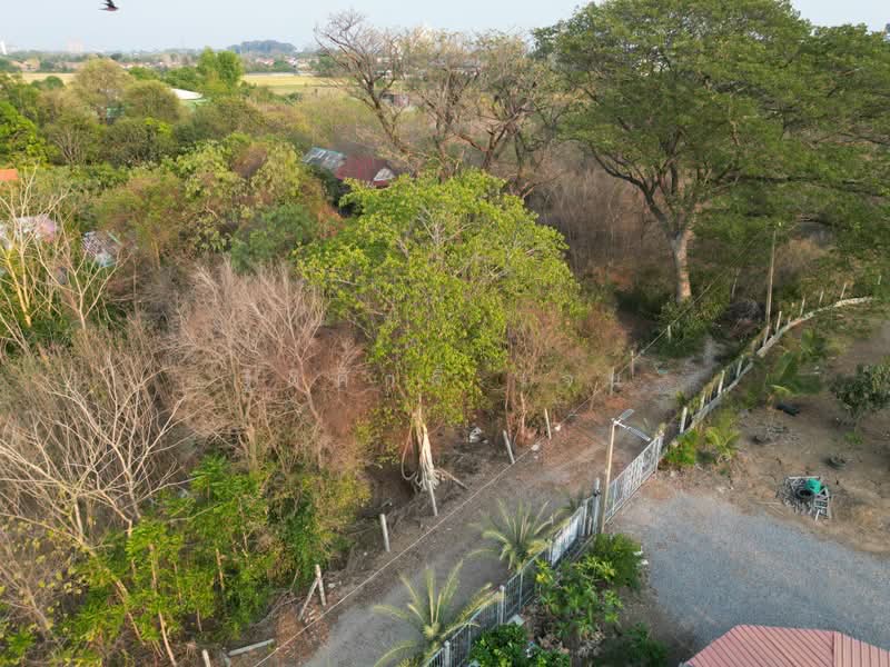 ที่ดินบ้านหมอ, Saraburi, Bang Khamot, Ban Mo, Saraburi, , 948 sqm, Land For Sale, by TITISAK Jane, 500430674 - DDproperty.com