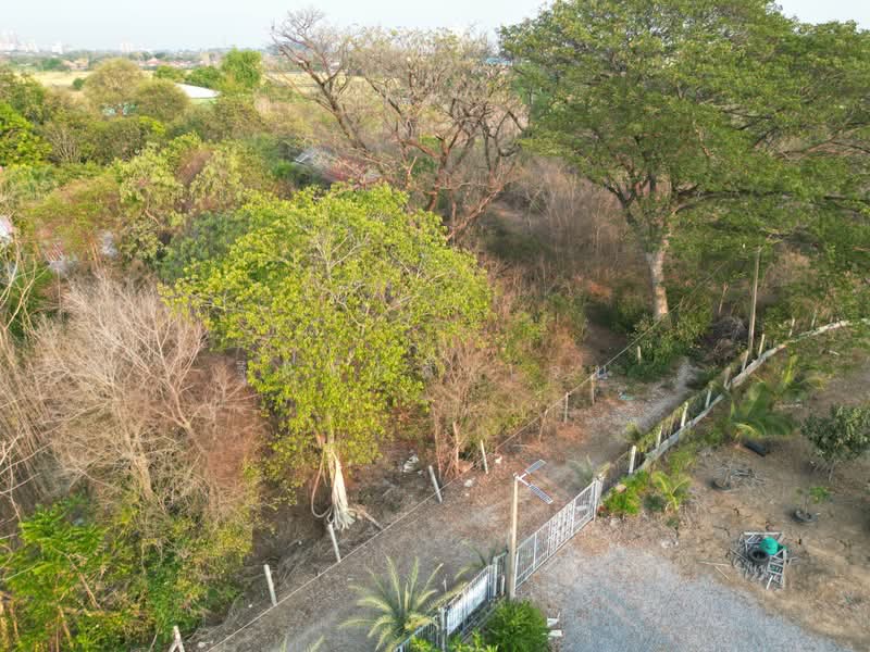 ไม่, สระบุรี, บางโขมด, บ้านหมอ, สระบุรี, 948 ตร.ม., ที่ดิน ขาย, โดย ฐิติศักดิ์ เจน, 500430674 - DDproperty.com